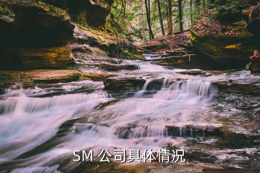 SM 公司具體情況