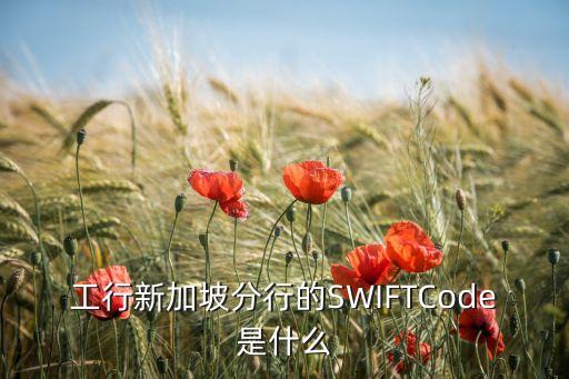 工行新加坡分行的SWIFTCode是什么