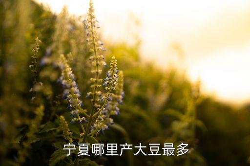 寧夏九天工貿(mào)有限公司,寧夏盛鑫浩達(dá)工貿(mào)有限公司