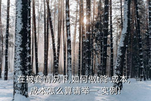 在被套情況下,如何做t降 成本, 成本怎么算請(qǐng)舉一 實(shí)例!