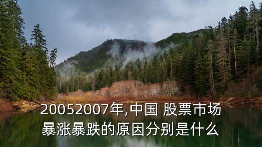 20052007年,中國 股票市場暴漲暴跌的原因分別是什么