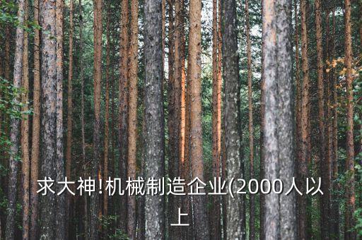 求大神!機(jī)械制造企業(yè)(2000人以上