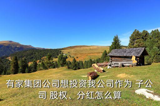 有家集團(tuán)公司想投資我公司作為 子公司 股權(quán)、分紅怎么算