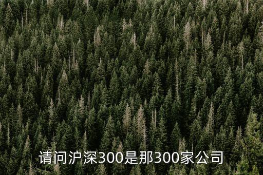 請(qǐng)問滬深300是那300家公司