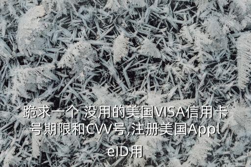 跪求一個 沒用的美國VISA信用卡號期限和CVV號,注冊美國AppleID用