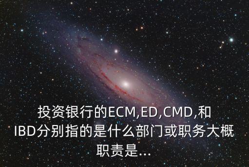 證券公司的金融市場部