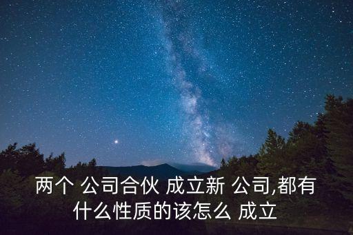 共同出資成立新公司,兩個公司出資成立一個新公司算啥