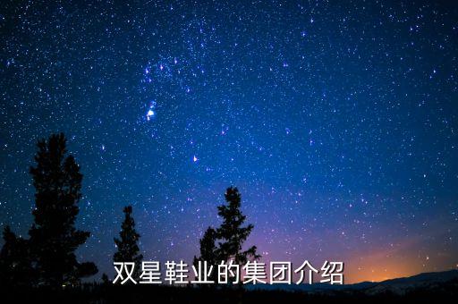 雙星鞋業(yè)的集團(tuán)介紹