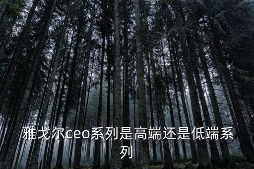  雅戈爾ceo系列是高端還是低端系列