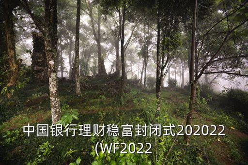 中國銀行理財(cái)穩(wěn)富封閉式202022(WF2022