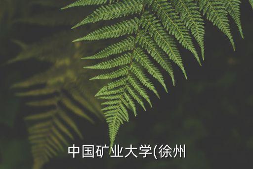 中國礦業(yè)大學(xué)(徐州