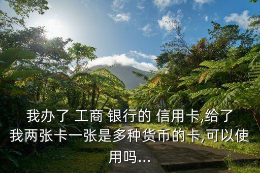 我辦了 工商 銀行的 信用卡,給了我兩張卡一張是多種貨幣的卡,可以使用嗎...