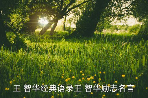 王 智華經(jīng)典語錄王 智華勵志名言