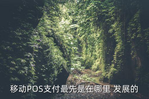 移動POS支付最先是在哪里 發(fā)展的