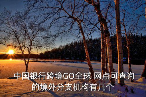  中國銀行跨境GO全球 網(wǎng)點可查詢的境外分支機構有幾個