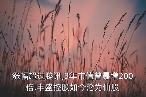 仙豐股份有限公司,湖北仙隆化工股份有限公司