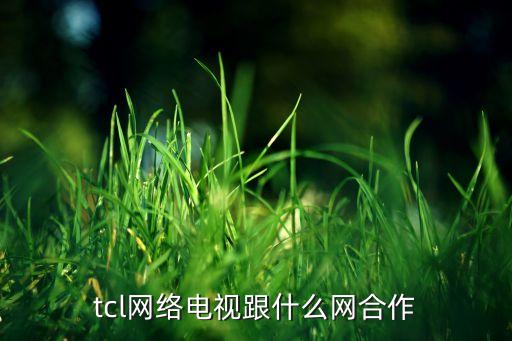 tcl網(wǎng)絡(luò)電視跟什么網(wǎng)合作