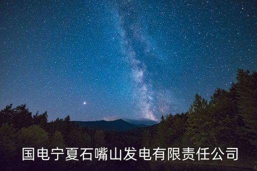  國(guó)電寧夏石嘴山發(fā)電有限責(zé)任公司