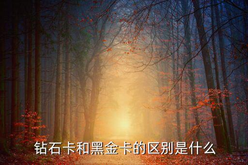  鉆石卡和黑金卡的區(qū)別是什么