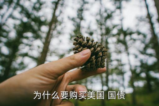 為什么要購(gòu)買(mǎi)美國(guó) 國(guó)債