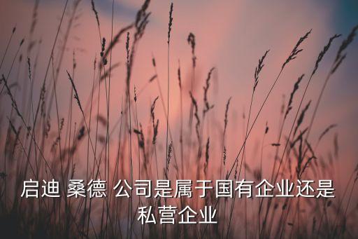 啟迪 桑德 公司是屬于國(guó)有企業(yè)還是私營(yíng)企業(yè)