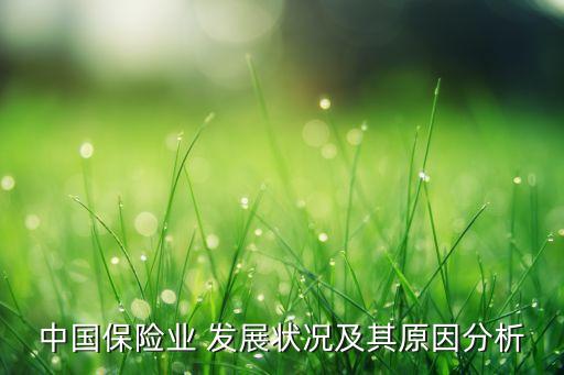 中國保險業(yè) 發(fā)展狀況及其原因分析