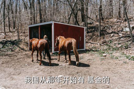 基金成立時間,張杰北斗星空愛心基金成立時間