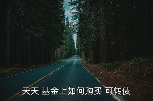 可轉(zhuǎn)債基金怎么操作