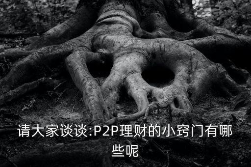 請(qǐng)大家談?wù)?P2P理財(cái)?shù)男「[門有哪些呢