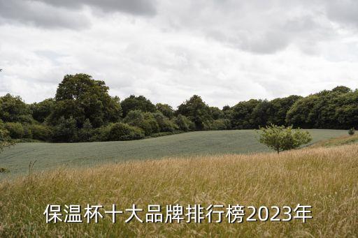 保溫杯十大品牌排行榜2023年