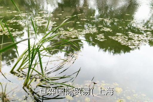 亙弈國際貿(mào)易( 上海