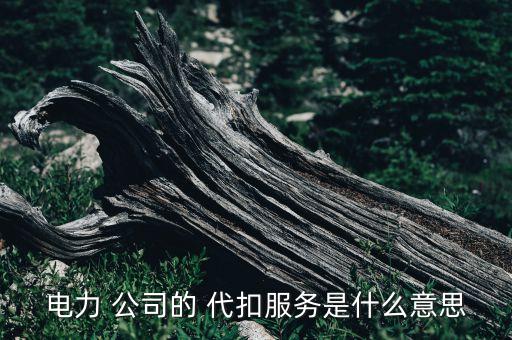 電力 公司的 代扣服務(wù)是什么意思