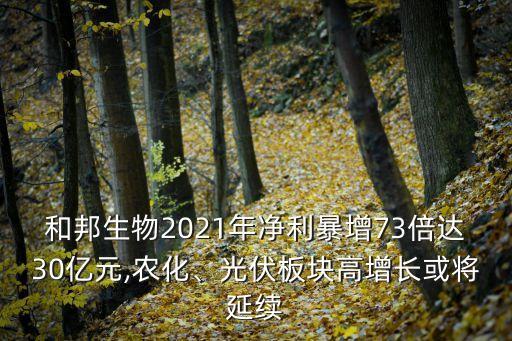 和邦生物2021年凈利暴增73倍達30億元,農(nóng)化、光伏板塊高增長或?qū)⒀永m(xù)