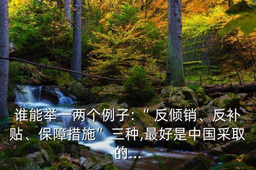 誰能舉一兩個例子:“ 反傾銷、反補貼、保障措施”三種,最好是中國采取的...