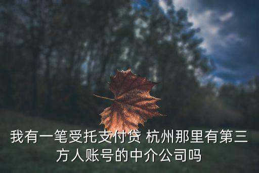 我有一筆受托支付貸 杭州那里有第三方人賬號的中介公司嗎