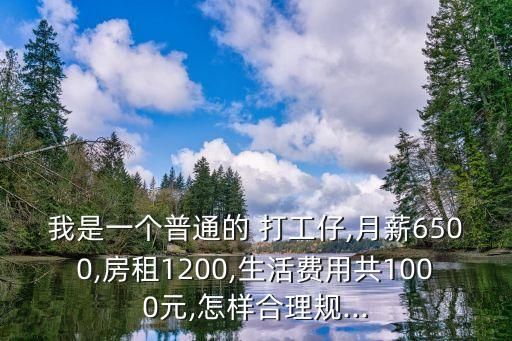 我是一個普通的 打工仔,月薪6500,房租1200,生活費用共1000元,怎樣合理規(guī)...