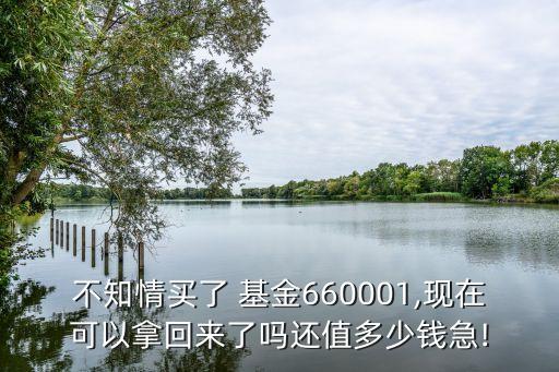 不知情買了 基金660001,現(xiàn)在可以拿回來了嗎還值多少錢急!