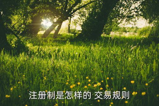 注冊(cè)制是怎樣的 交易規(guī)則