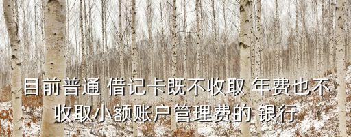 目前普通 借記卡既不收取 年費也不收取小額賬戶管理費的 銀行