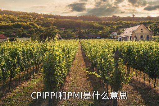 CPIPPI和PMI是什么意思