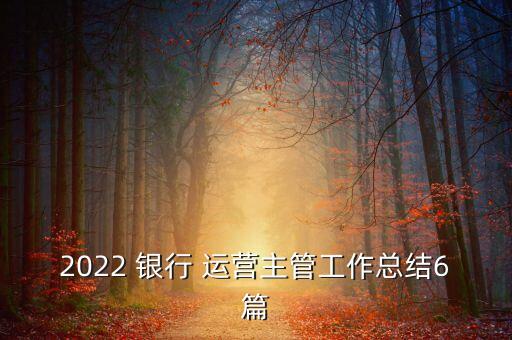 2022 銀行 運(yùn)營主管工作總結(jié)6篇