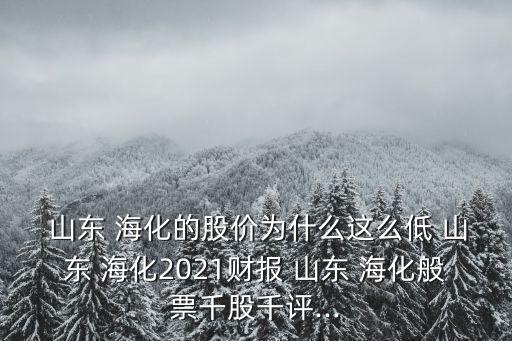  山東 ?；墓蓛r(jià)為什么這么低 山東 ?；?021財(cái)報(bào) 山東 海化般票千股千評(píng)...