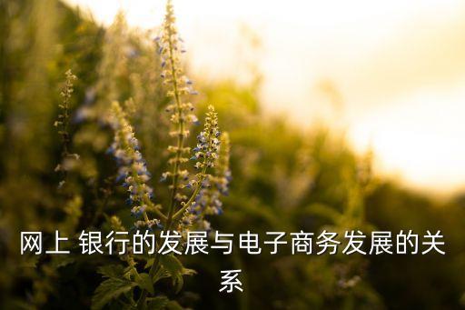 網(wǎng)上 銀行的發(fā)展與電子商務發(fā)展的關系