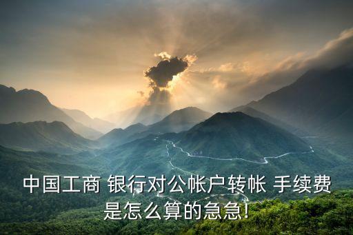 中國工商 銀行對公帳戶轉(zhuǎn)帳 手續(xù)費(fèi)是怎么算的急急!