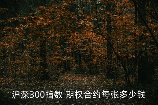 滬深300指數(shù) 期權(quán)合約每張多少錢