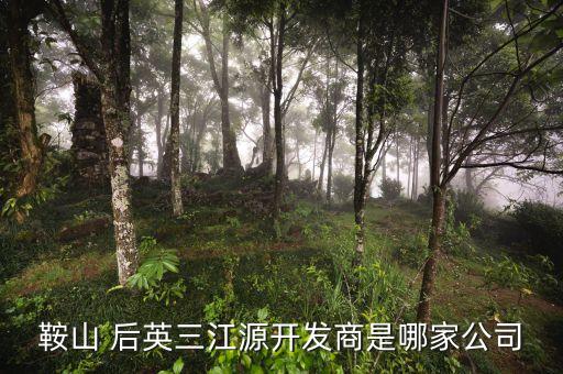 鞍山 后英三江源開(kāi)發(fā)商是哪家公司