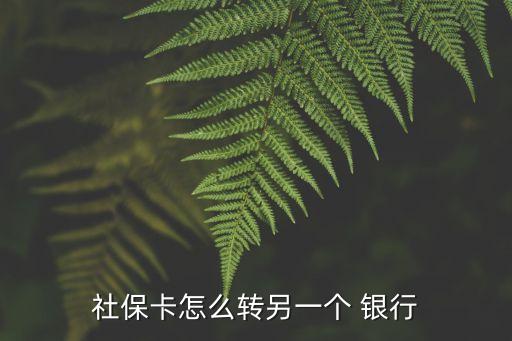 社?？ㄔ趺崔D(zhuǎn)另一個(gè) 銀行