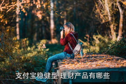 支付寶穩(wěn)健型 理財(cái)產(chǎn)品有哪些