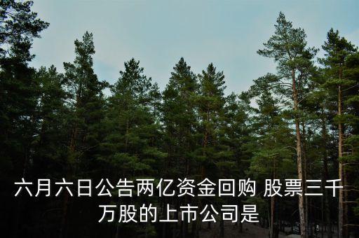 六月六日公告兩億資金回購 股票三千萬股的上市公司是