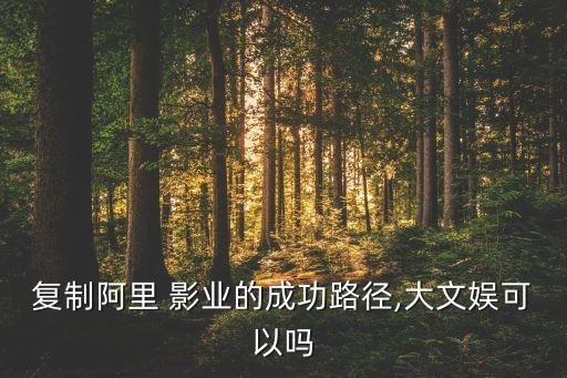 復(fù)制阿里 影業(yè)的成功路徑,大文娛可以嗎